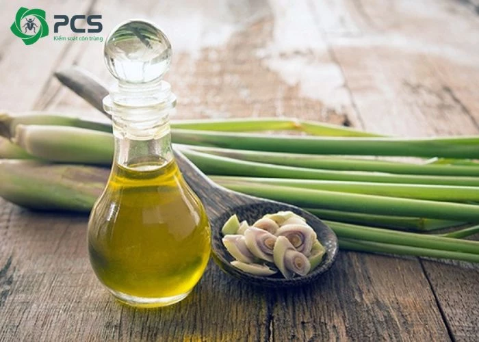 tinh dầu sả có đuổi được gián không